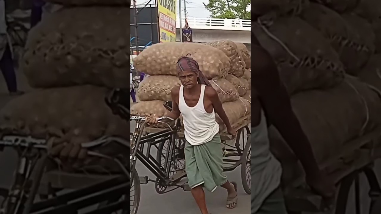 onion go to market complex 