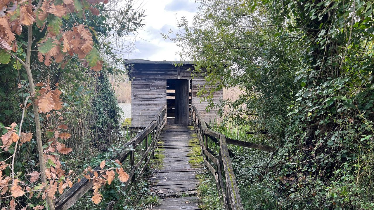 Trekking 4K Riserva Naturale di Nazzano