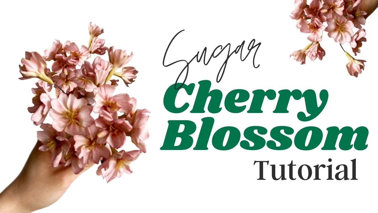 How to Make Gumpaste Cherry Blossoms // With Finespun Cakes