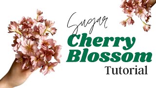 How to Make Gumpaste Cherry Blossoms \/\/ With Finespun Cakes