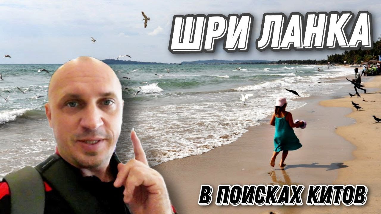 Шри Ланка из Таиланда. В поисках китов - YouTube