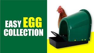 Plastic Roll-Out Nesting Box Hatching Time