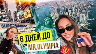 видео: МОЯ ПЕРВАЯ АМЕРИКА картинка: МОЯ ПЕРВАЯ АМЕРИКА