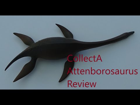 CollectA 2011 Attenborosaurus Review