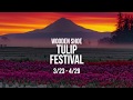 Wooden Shoe Tulip Festival preview final Wooden Shoe Tulip Festival preview final