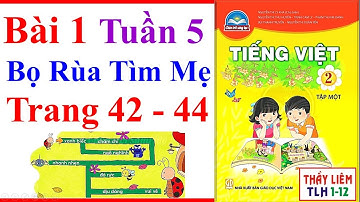 Tiếng Việt Lớp 2 Bài 1 Tuần 5 | Bọ Rùa Tìm Mẹ | Trang 42 - 44 | Chân Trời Sáng Tạo