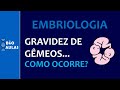 Gravidez de Gêmeos: Gêmeos Univitelinos (Monozigóticos) e Bivitelinos (Dizigóticos) - Embriologia