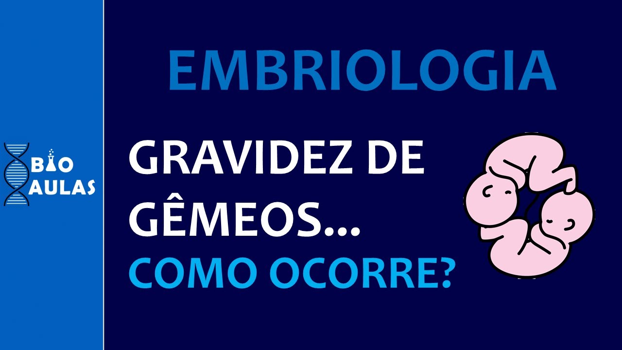 Gravidez de Gêmeos: Gêmeos Univitelinos (Monozigóticos) e Bivitelinos (Dizigóticos) - Embriologia