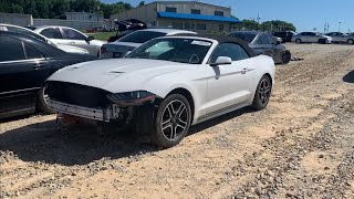 Where Are All The Good Cars? Copart Walk Around + CHEAP Convertible Ford Mustang!