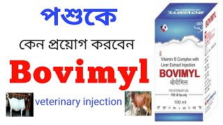 গরু মোষ ছাগল ভেরাকে কেন প্রয়োগ করবেন Bovimyl ভেটেরিনারি ইনজেকশন | Bovimyl Injection use in bangla