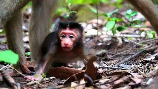 1st Step of Marcel on Planet, Look Really Adorable