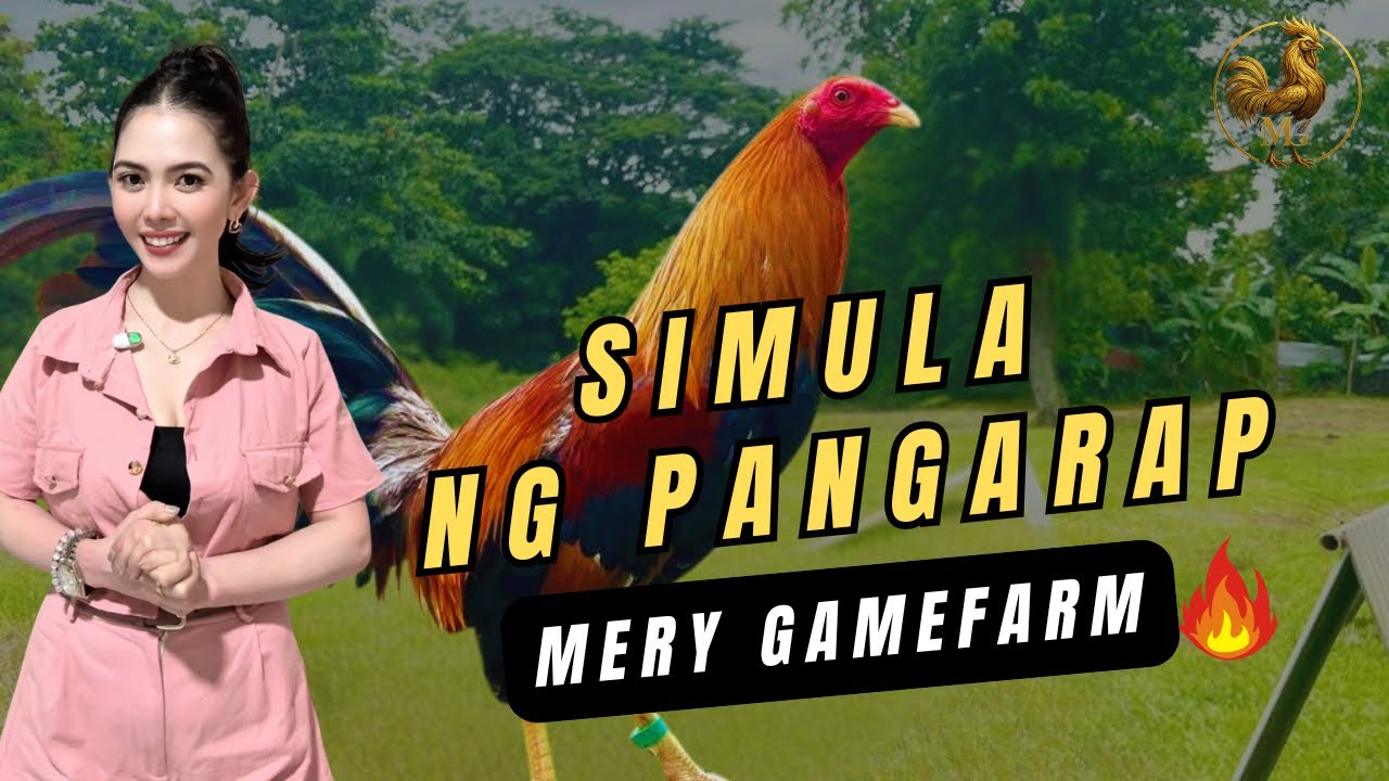 Mery Gamefarm Vlog 1 : Simula ng Pangarap 