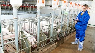 Agricultural Inspector Career Video