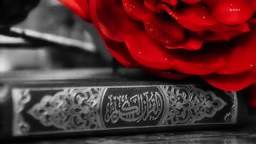 سورة الحجرات - القارئ طاهر الأهدل بدون إعلانات