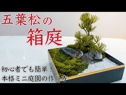 hqdefault