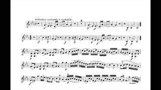 Mozart, Sonata para violín y piano en Si b M, K.378 - Acompañamiento