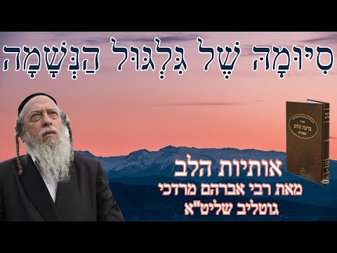 וִידֵאוֹ: מה כלול בהגהה?