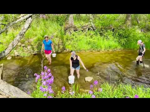 Virtual Field Trip: Creek Walking in Lovettsville