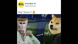 Monkey And Dog Fight Viral Meme