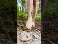 ASMR Forest Floor Crush with Bare Feet – Nature Sounds 🌿👣