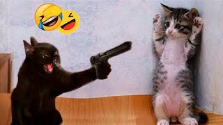 😸🐱 Funniest Cats and Dogs Videos 😆😹 Best Funny Animal Videos 2024 #8