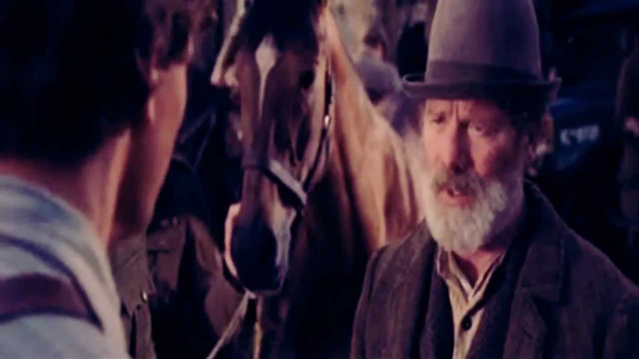 War Horse - Safe and Sound | Albert&Joey | Dedicated to Chicachenko & her Friends