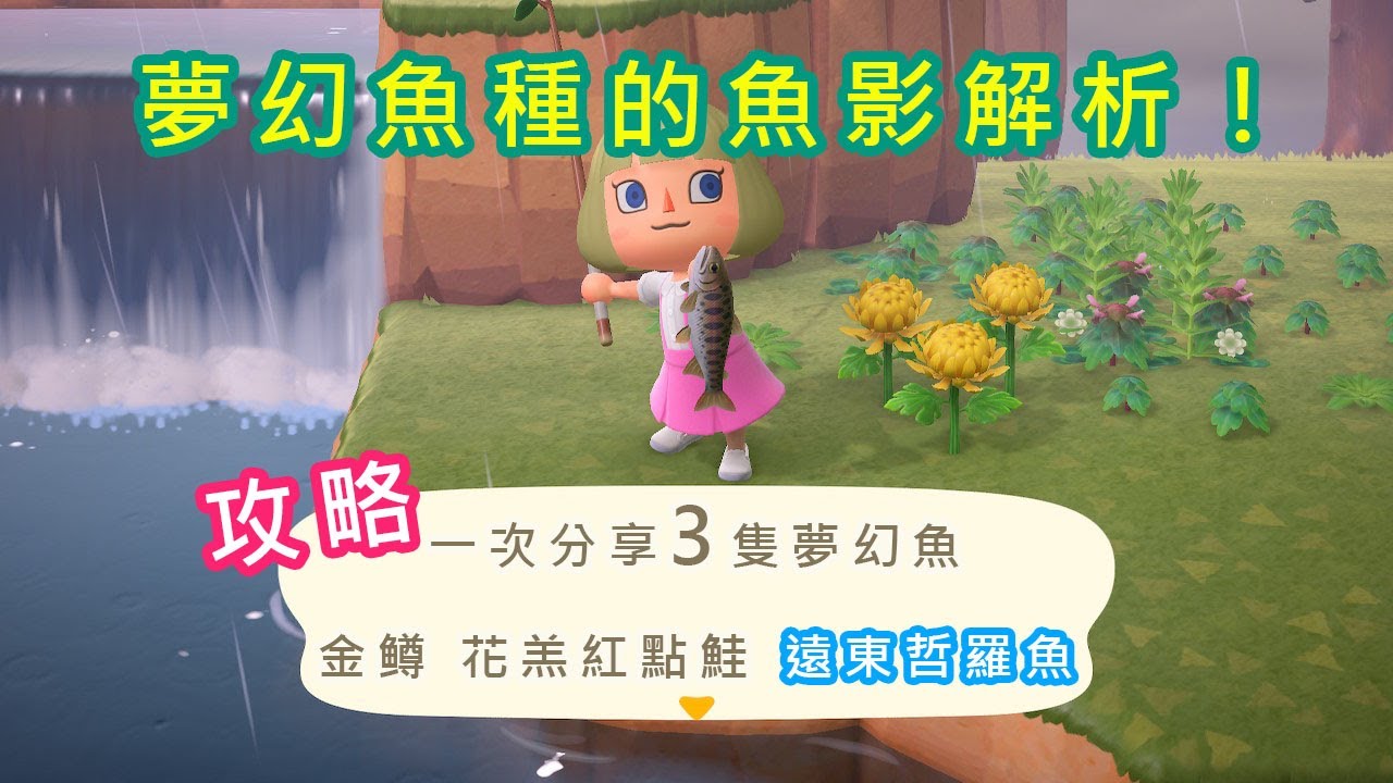 動物森友會 這就是夢幻魚影壓線3月來釣遠東哲羅魚 Youtube