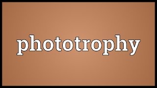 Phototrophy Meaning Phototrophy Meaning