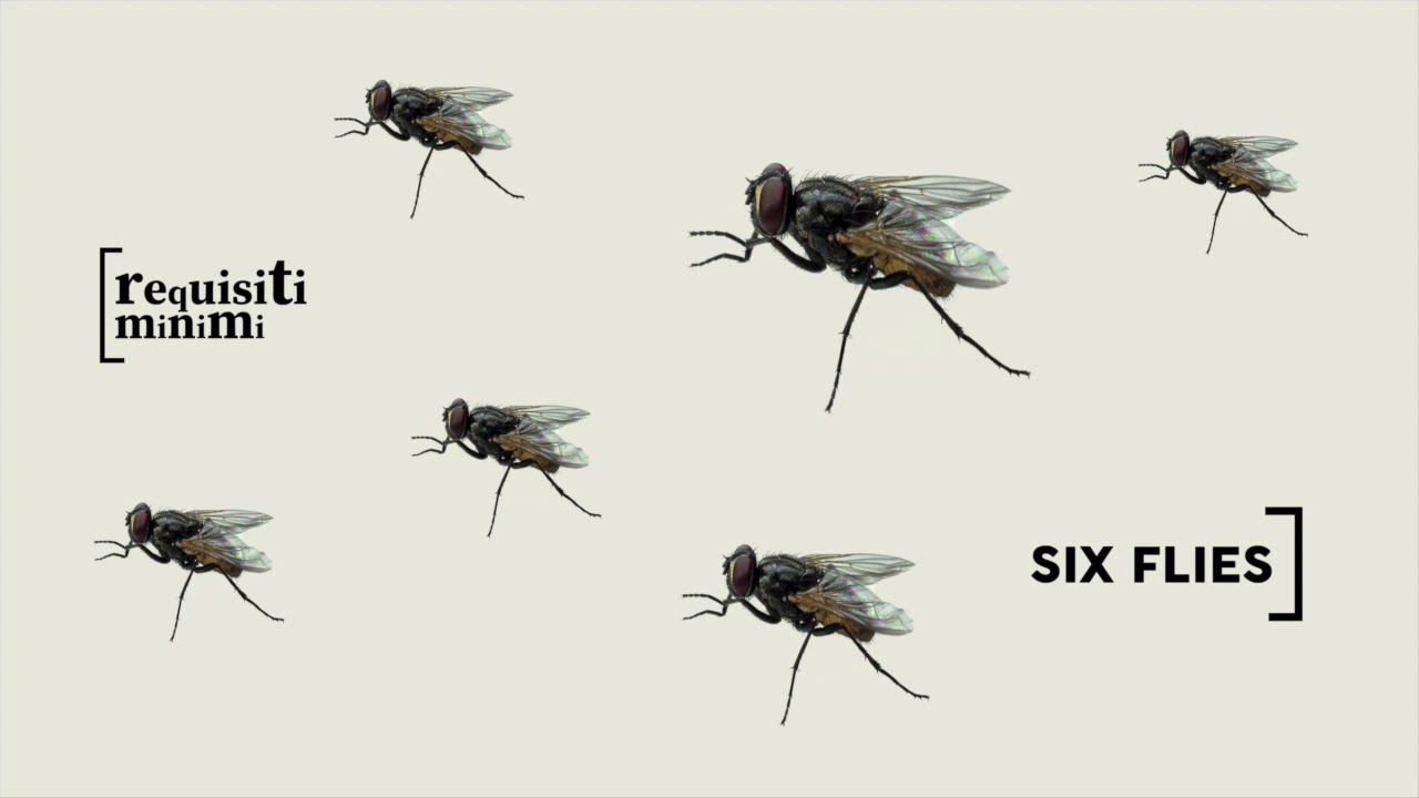 requisiti minimi - SIX FLIES