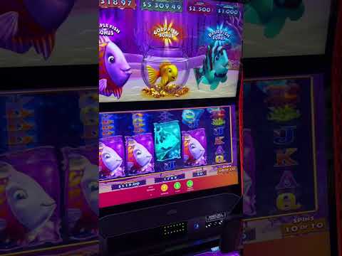 Speel Fish Road Gokautomaat online casino spellen in het Nederlands - Geniet van onze gokkasten
