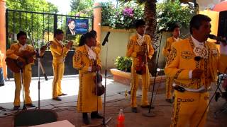 Video thumbnail of "(besame mucho) mariachi alma ranchera de jose perez"