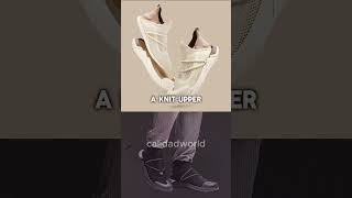 What Happened to Muvez After Shark Tank? #sharktankus