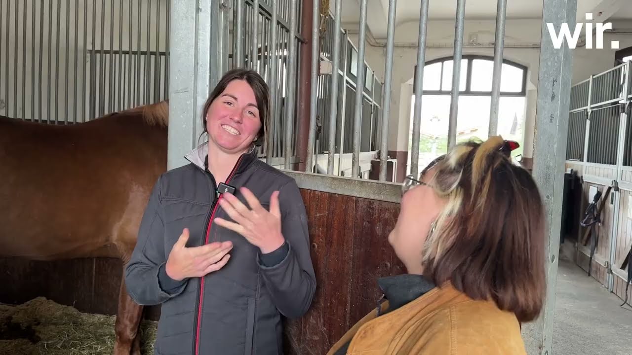 Wir göh ga ggùgge: Tradition trifft auf Moderne im Nationalgestüt in Avenches