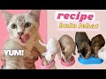 NAK KUCING GEMUK BULU LEBAT? WATCH THIS!!