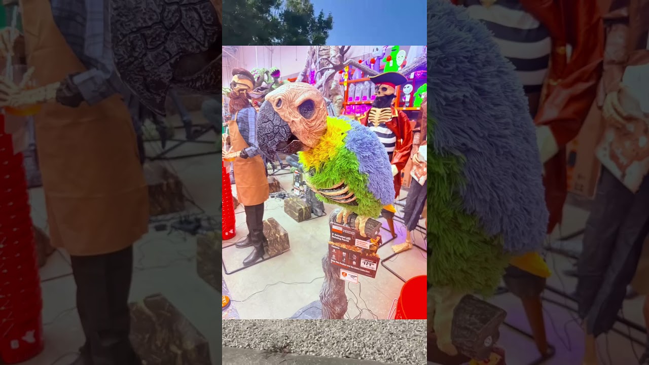 Halloween Stuff Already? Spooky Season Hits Pinellas County Early