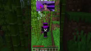 Tree Capitator Addon Para Minecraft Bedrock 1.21
