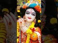 🙏🙏🙏Joy Shree Krishna #bhakti #viral #shortvideo 7 June 2026