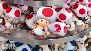 Toad 2