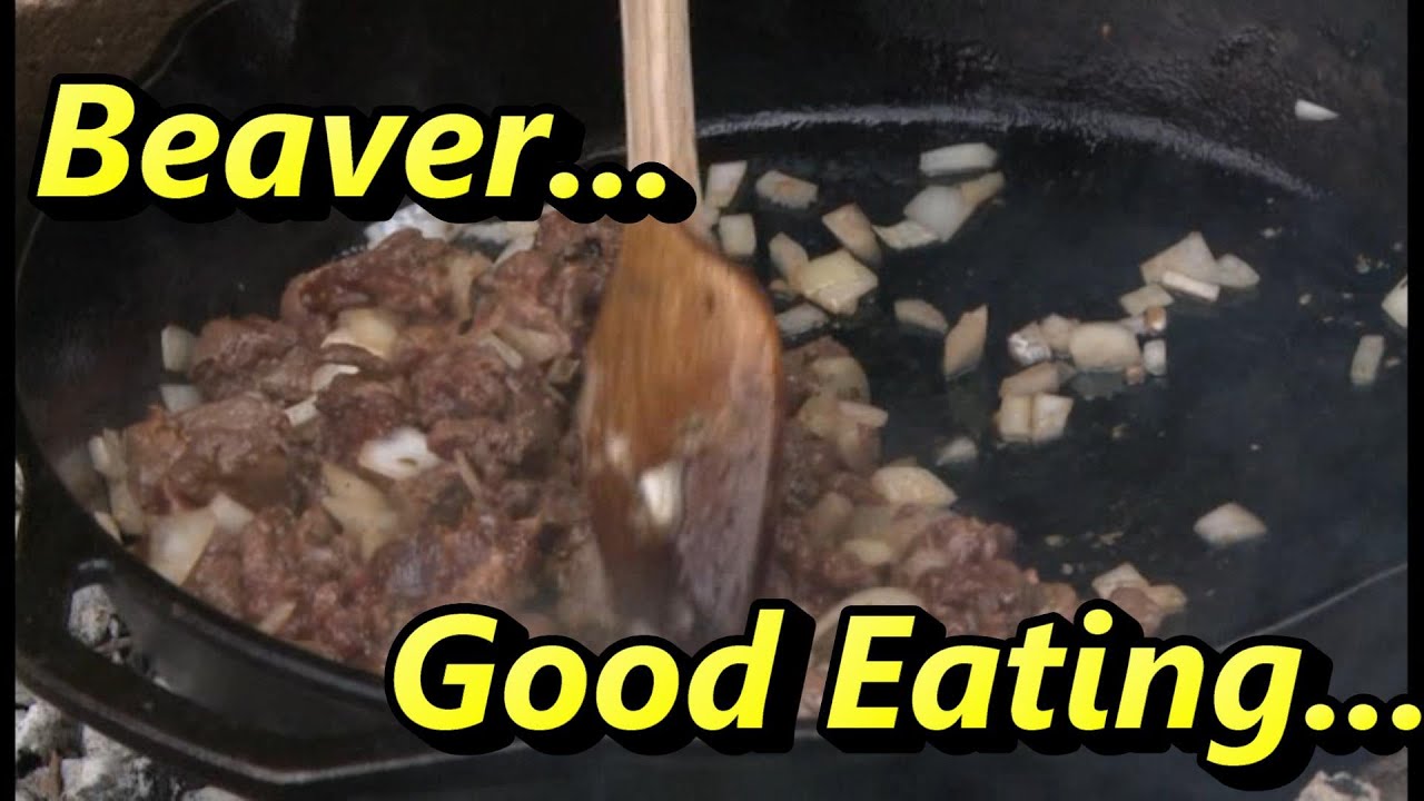 How to Eat Beaver YouTube