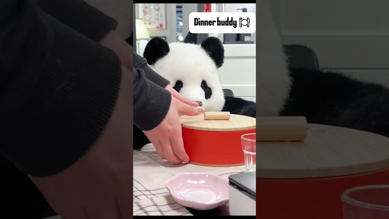 Living with a Feiyun Panda Plush 🐼 | My New Sleep & Snack Buddy! 