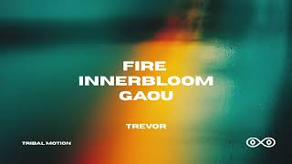 Shimza - Fire X Innerbloom X Gaou (Nitefreak Remix) (Trevor Edit)