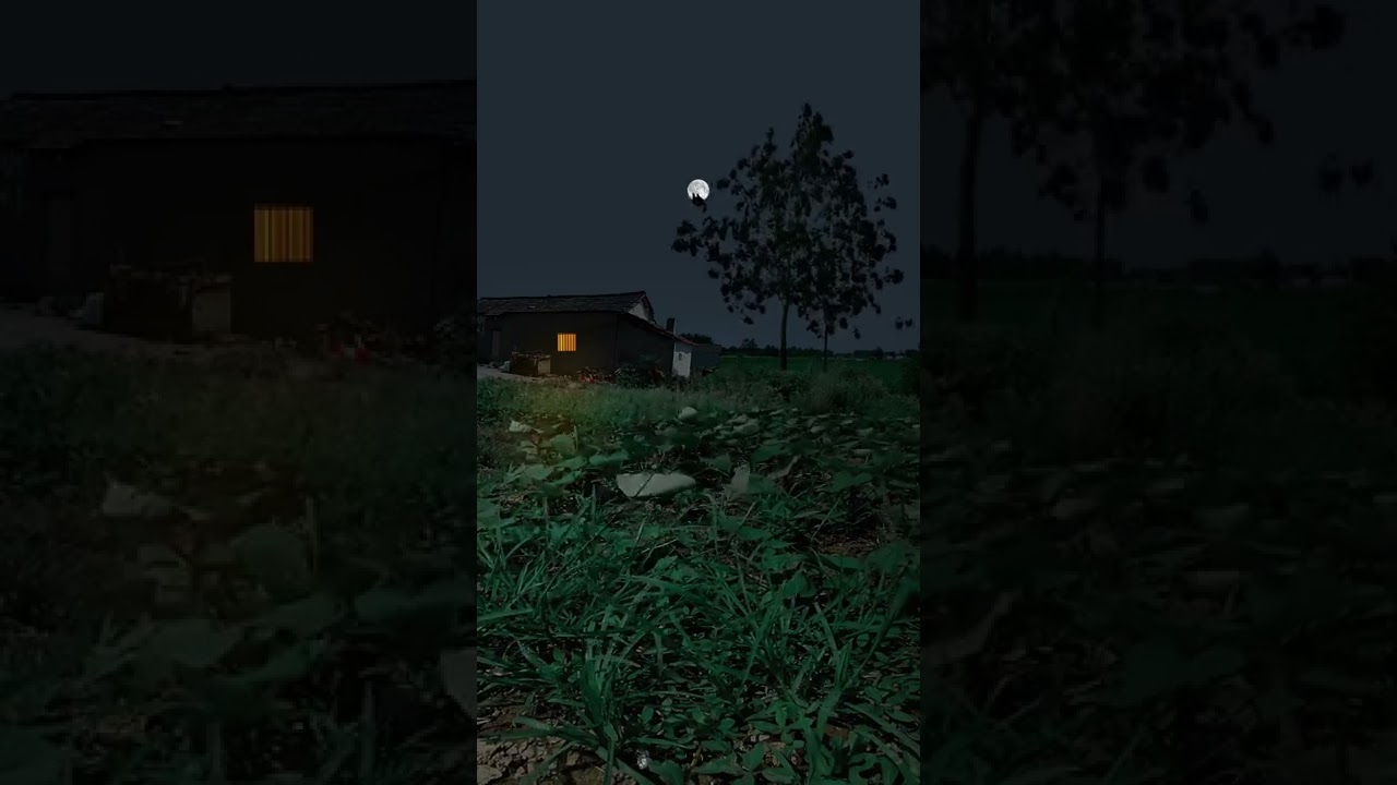 How did it get so late so soon? 