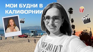 картинка: Самопробы, актерский колледж, пляж | Мои будни в ЛА 🌴