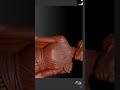 #storytelling #3dart #blender #substancepainter #3d #epicwoman I #golden_shadows