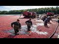 The Insane Machines &amp; Extreme Methods Feeding the World