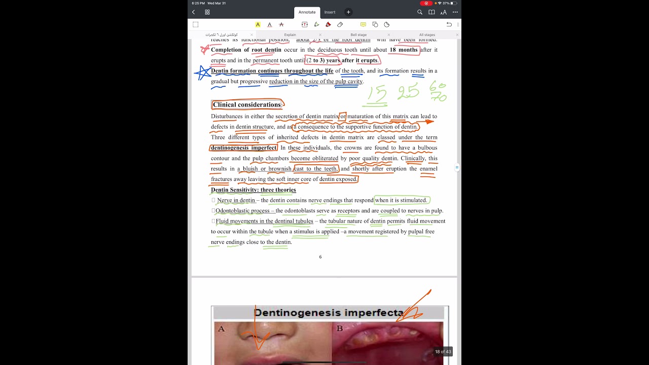 Oral Histology Lec.4 (Dentin Structure) Part 1 / Department of Dentistry / 2nd Stage .