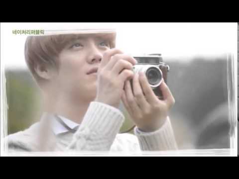{AFF TRAILER} Apology || Luhan & Tiffany ||