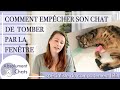 Comment empêcher son chat de tomber par la fenêtre - protection pour chats