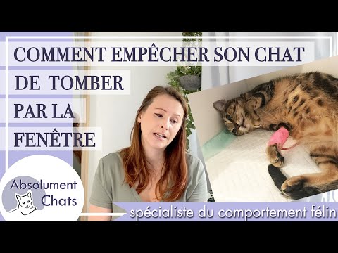 Vidéo: Que Faire Si Le Chat Tombe Par La Fenêtre