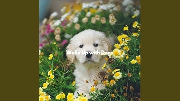 Classic Backdrops for Cute Hope